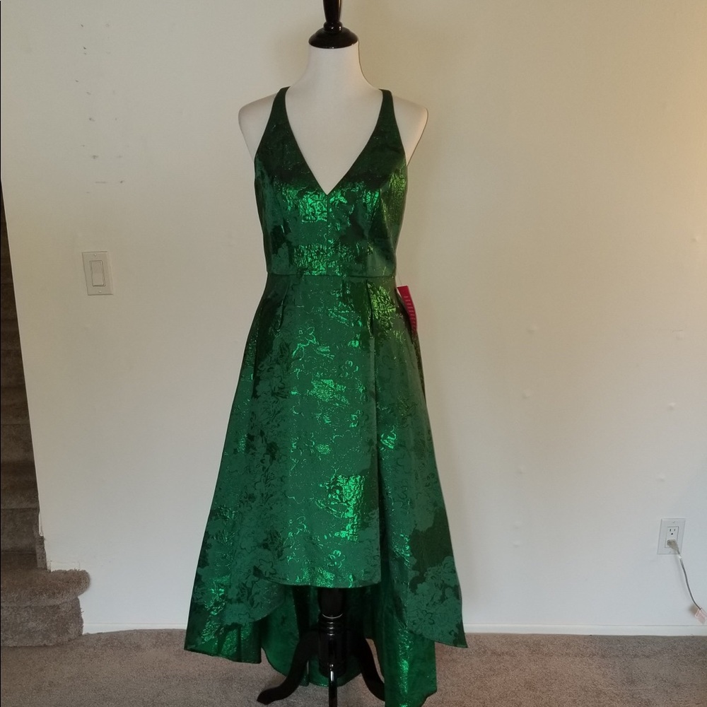 Stunning dress, great for the Holiday